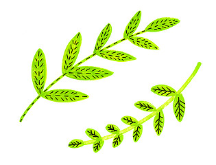 Image showing Decorative bright green branches for design