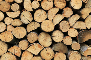 Image showing Firewood pile stacked chopped wood trunks