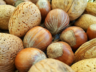 Image showing Mix of different types nuts