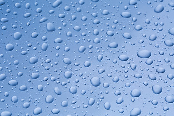 Image showing Shiny Water Droplets