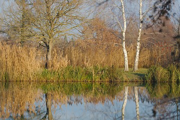 Image showing Water surface with trees