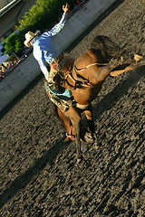 Image showing Bucking Bronco