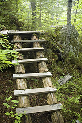 Image showing stairs