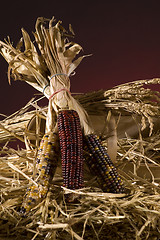 Image showing Corn