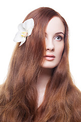 Image showing Beautiful girl with long red brown hair