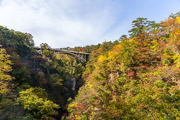 Image showing Bridge crossing though Naruko Gorge