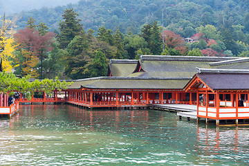 Image showing Itsukushima shrine