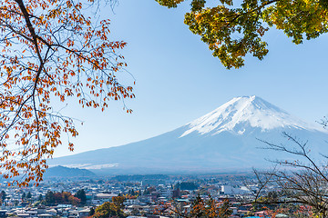 Image showing Mountain fuji and maple tree