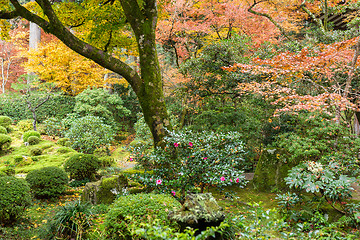 Image showing Beautiful Japanese temple 