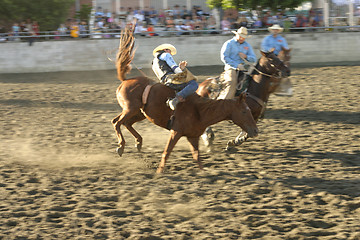 Image showing Thrills and Spills