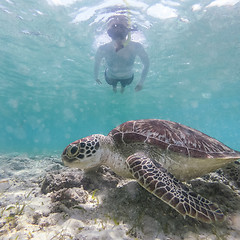 Image showing Woman on vacations wearing snokeling mask swimming with sea turtle in turquoise blue water of Gili islands, Indonesia. Underwater photo.