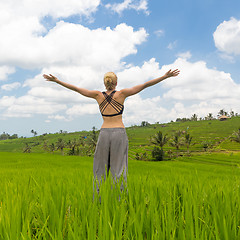 Image showing Relaxed casual sporty woman, arms rised to the sky, enjoying pure nature of beautiful green rice fields on Bali.