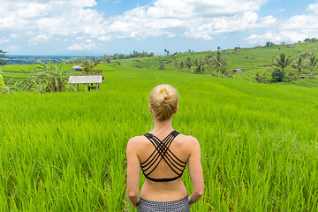 Image showing Relaxed casual sporty woman enjoying pure nature of beautiful green rice fields on Bali.