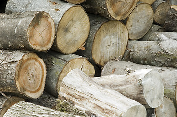 Image showing Logs