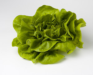 Image showing Lettuce