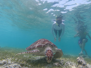 Image showing People on vacations wearing snokeling masks swimming with sea turtle in turquoise blue water of Gili islands, Indonesia. Underwater photo.