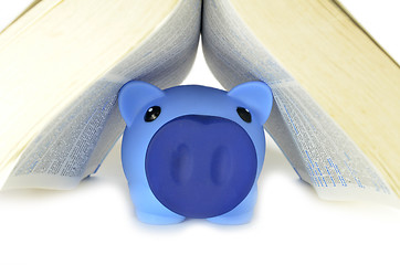 Image showing Piggy bank with money and book 