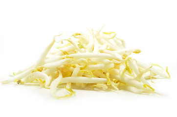 Image showing Pile of bean sprouts 