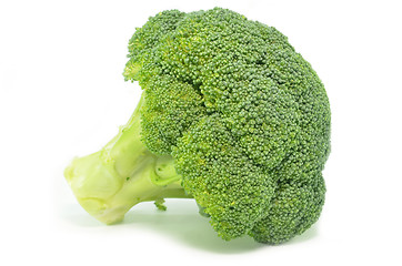 Image showing Fresh broccoli isolated