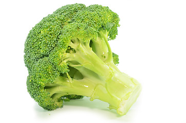 Image showing Fresh broccoli isolated