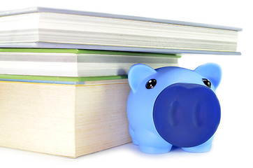 Image showing Piggy bank with money and book