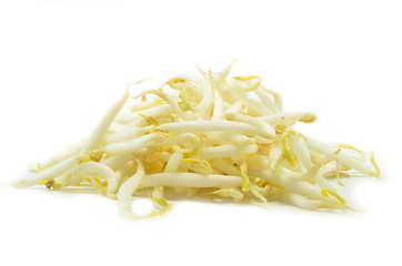 Image showing Pile of bean sprouts
