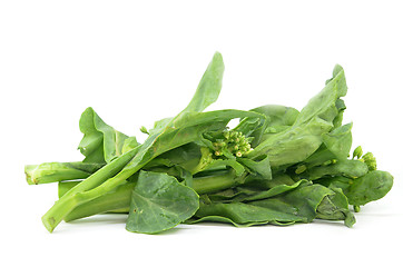 Image showing Chinese Kai Lan vegetables