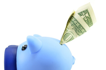 Image showing Blue piggybank with US dollar