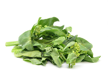 Image showing Chinese Kai Lan vegetables