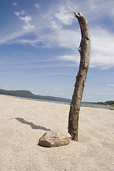 Image showing Beach