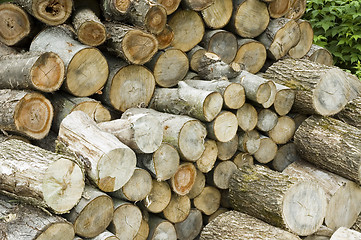 Image showing Logs