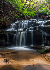 Image showing Water cascades over rocks in Leura