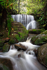 Image showing Cascading waterfalls through lush rainforest