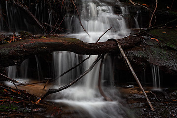 Image showing Cascading water down Den Fenella in Blue Mountains