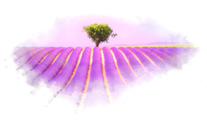 Image showing Lavender field watercolor effect illustration