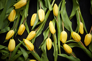 Image showing Beautiful yellow tulips on black rustic wooden background. Top view