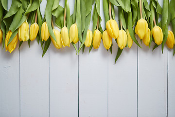 Image showing Row of fresh Yellow tulips on white wooden table