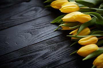 Image showing Composition of fresh yellow tulips placed in row on black rustic wooden table