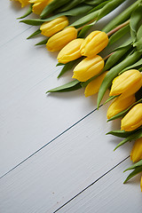 Image showing Row of fresh Yellow tulips on white wooden table