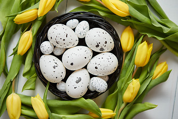 Image showing Beautiful yellow tulips with dotted quail and chicken eggs in nest on white