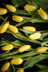 Image showing Yellow tulips placed on black table. Top view with flat lay