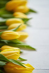 Image showing Composition of fresh tulips placed in row on white rustic wooden table