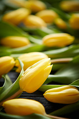 Image showing Yellow tulips placed on black table. Top view with flat lay