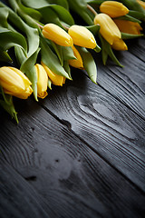 Image showing Beautiful yellow tulips on black rustic wooden background. Top view