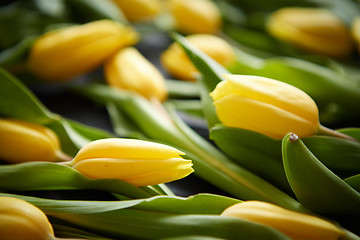 Image showing Yellow tulips placed on black table. Top view with flat lay