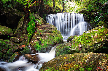 Image showing Tranquil lush waterfall in Leura