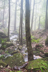 Image showing A stream runs through mist filled valley