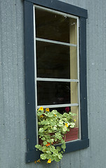 Image showing Window