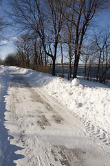 Image showing Winter