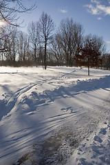 Image showing Winter